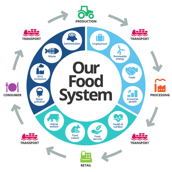 circular graph of the food system