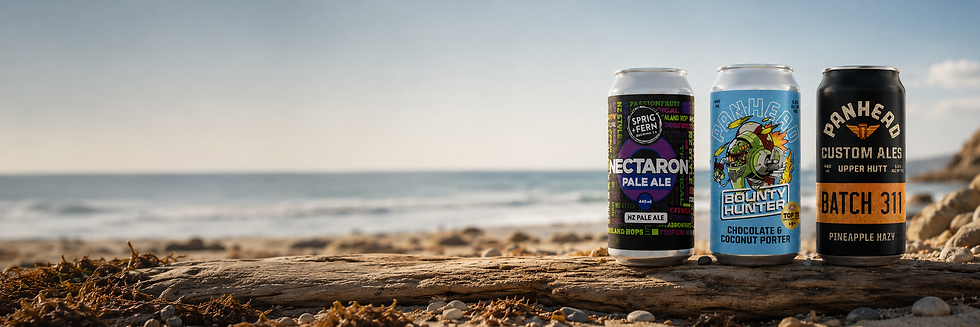 Three craft beer cans on a beach with ocean background.