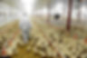 AdobeStock_58207191.jpeg