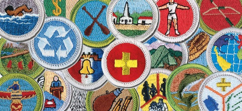 merit badge image.jpeg