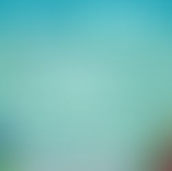 Oh what fun 🎅 🐠 🎄