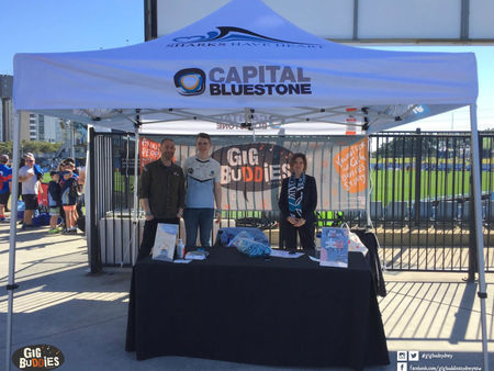 Up, up Sharks Buddies