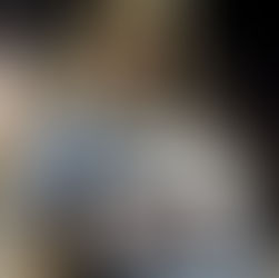 Sharks Buddies out with a bang