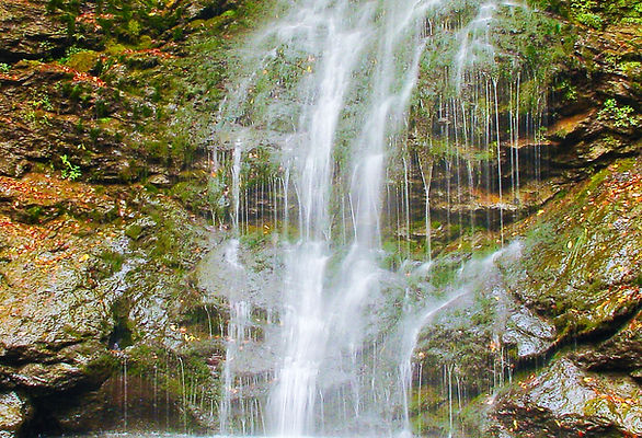 torrente arrollo liebana