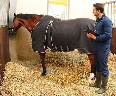 veterinaire.jpg