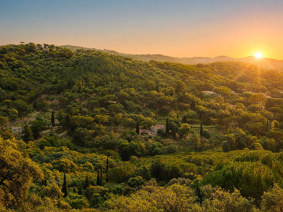 Bastide-valescure-location-maison-saint-tropez-gigaro-beach.jpg