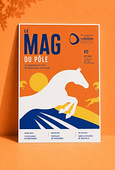 mag-du-pole.jpg