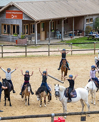 pole-international-deauville-ecole-equitation-cours-collectif-carriere.jpg