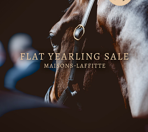 Post-ouverture-inscription-yearling copie.jpg