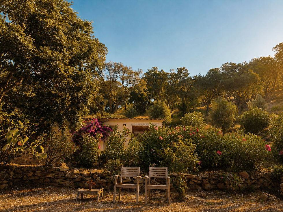 jardin-chaises.jpg