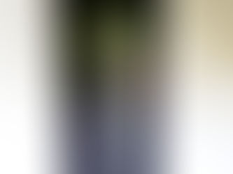 Pose porte d'entrée vitrée