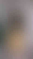 Fenêtre et porte en chêne secteur pleaux