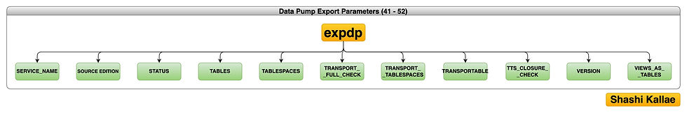 Dump Pump Export Parameters. Illustration by Shashi Kallae.