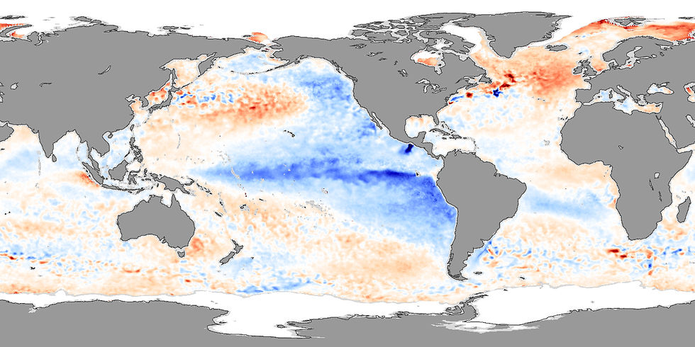 Sea surface temperature anomalies in November 2007, showing La Niña conditions. NASA image by Jesse Allen, using AMSR-E data processed and provided by Chelle Gentemann and Frank Wentz, Remote Sensing Systems. - NASA, Created: 20 December 2007