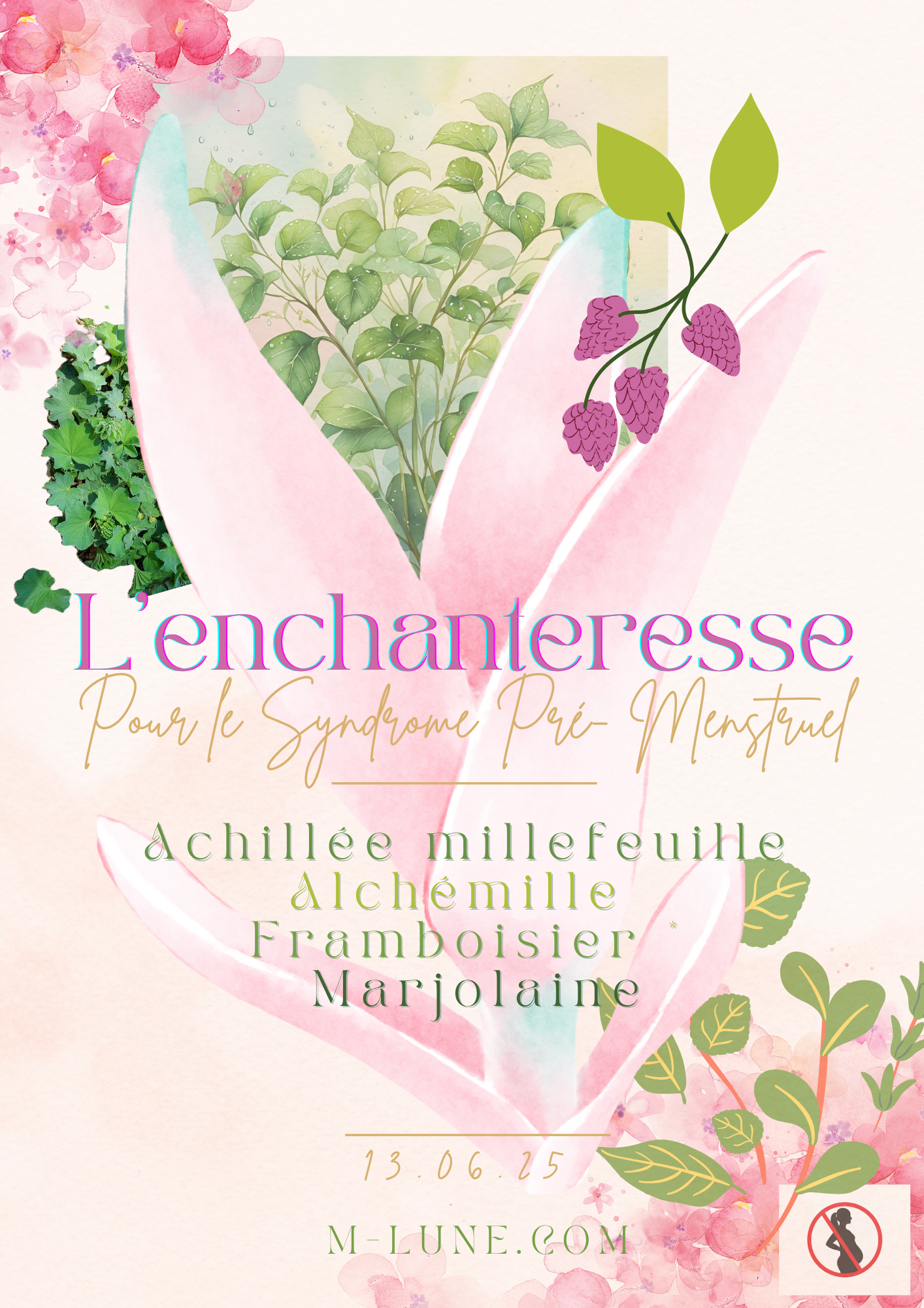 L'enchanteresse : Alchémille, Marjolaine, Framboisier, ... (pour phase lutéale)