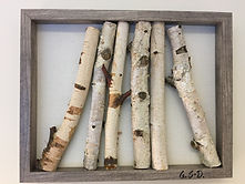 Birch.jpeg