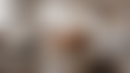 What Is the Best Leather Sofa for Singapore's Weather? A Complete 2026 Guide