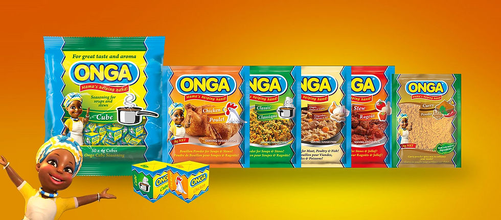 Miniature : Bouillon ONGA