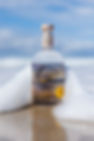 Gin Matakana