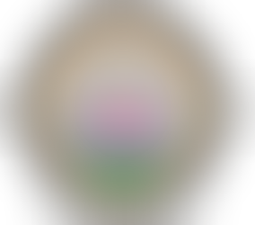 Galiwin'ku Women's Space launch a new logo