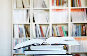 Aalto Emerging Disease Publications