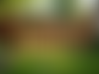 Top Residential Fencing Options for Your Home