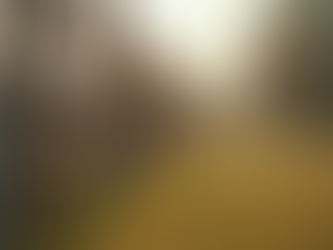 Steps for a Successful Home Fencing Process