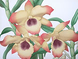 DSCN7003.JPG