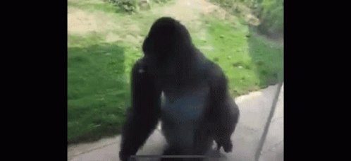 c2e7302fcc08985ed48671fa58893c3d.gif