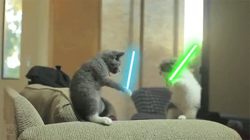 image0-1.gif