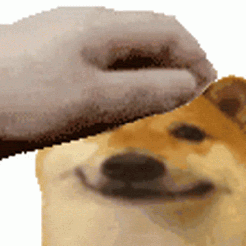 f1d2fe7bafb49df1e6a17cd43d1cc7e1.gif
