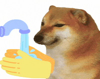 200w.gif