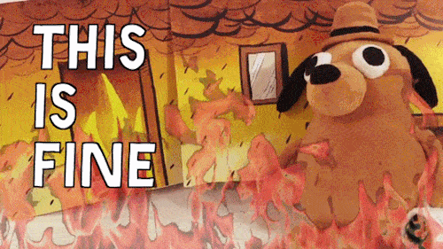 this-is-fine.gif