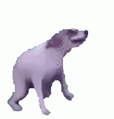 201645bdb77d9440ebf7f4387b4ef0c0.gif