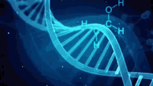 quimica.gif