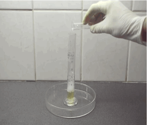 anigif_sub-buzz-31166-1504523235-2.gif