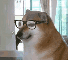 cheems-nerd.gif