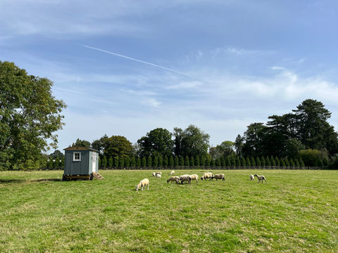 A picturesque tiny house on wheels in a field, designed by Hartwood Oak in Berkshire, blending nature with modern living.