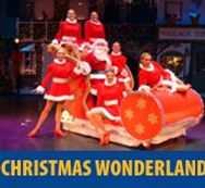 ChristmasWonderland.jpg