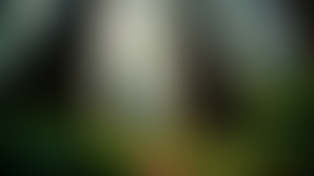 Discover Unique Destinations with Tidecrest Bus Tours