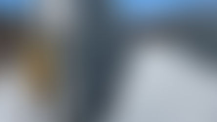 Keeping the Spring in Our Step