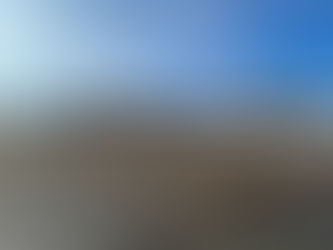 Offspring Opinions, No. 6