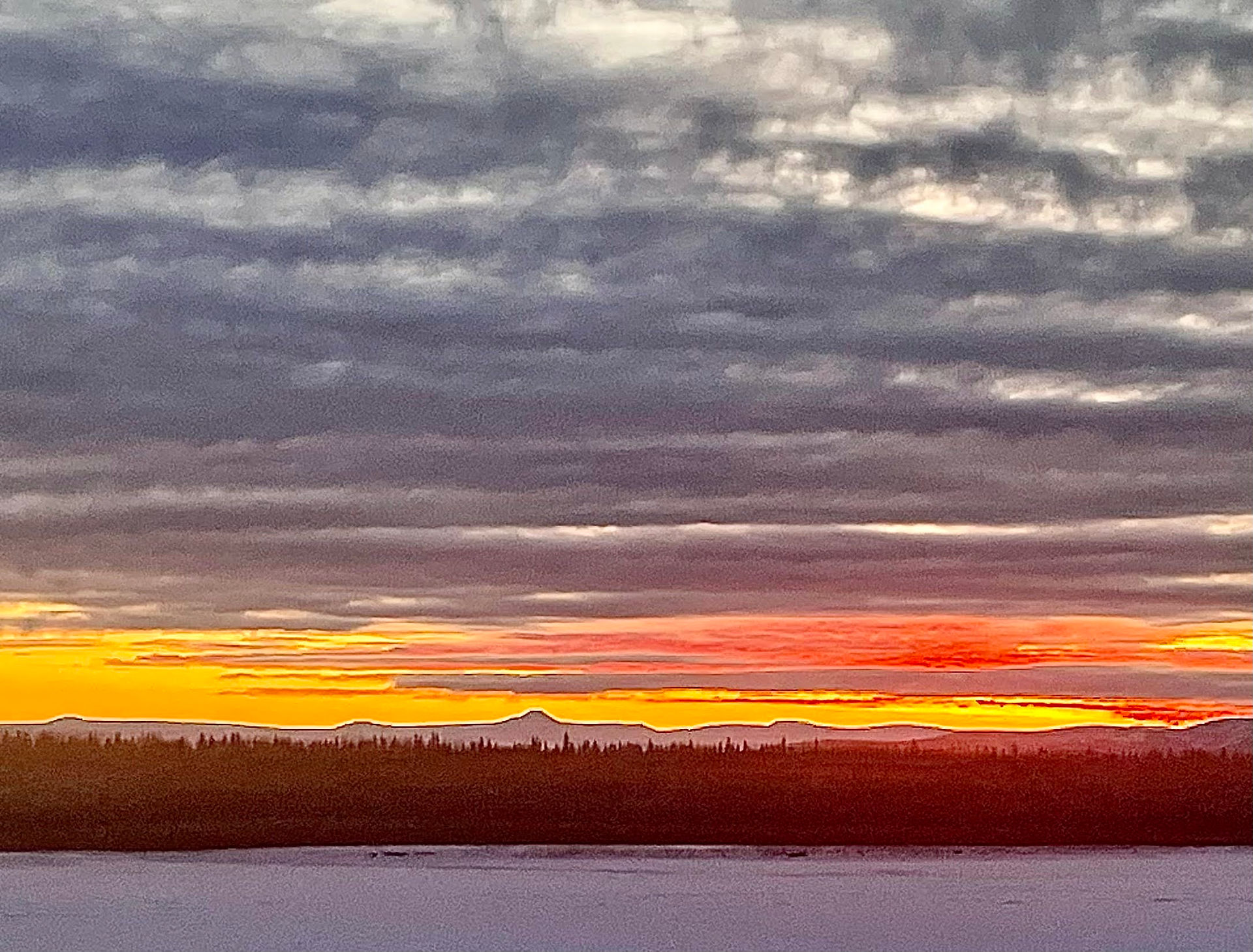 Backyard sunrise