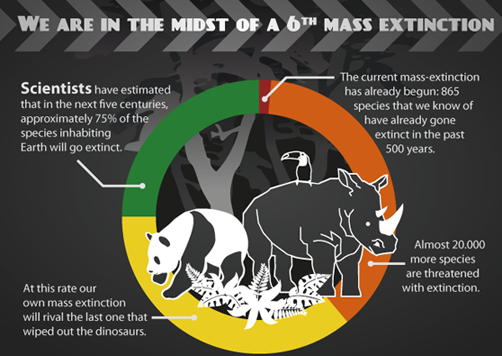 Mass Extinction