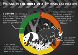 Mass Extinction