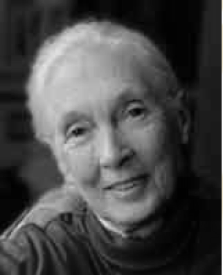 Dame Jane Goodall