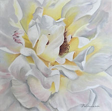My Daughter's Rose Original Oil PAinting 12 x 12 x1.5 gallery wrapped canvas white rose