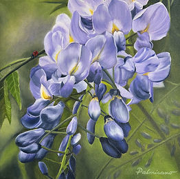Wisteria Dreams.jpg