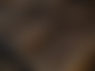 Puro Humidoru Seçerken Dikkat Edilmesi Gereken 5 Kriter