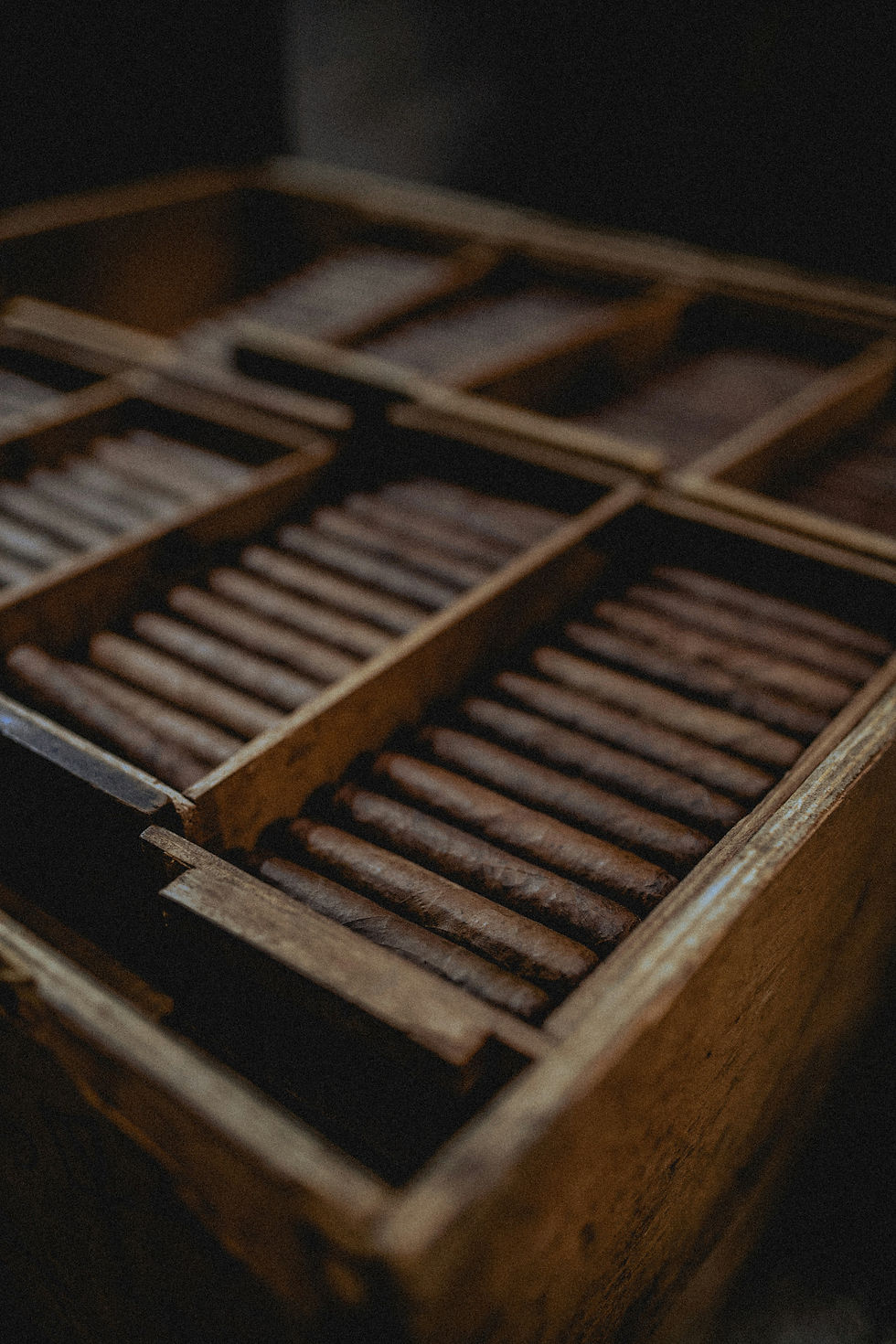 puro humidoru